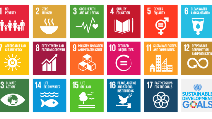 United Nations SDGs The Hague