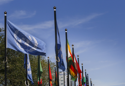 Flags