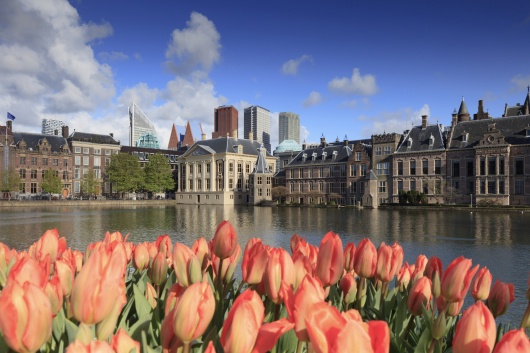 Image of The Hague with tullips