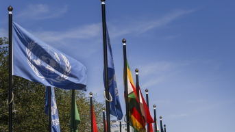 Flags