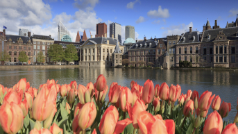 Image of The Hague with tullips