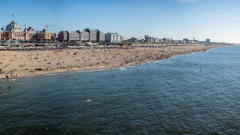 The Hague 