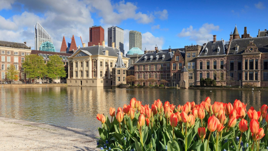 hofvijver The Hague