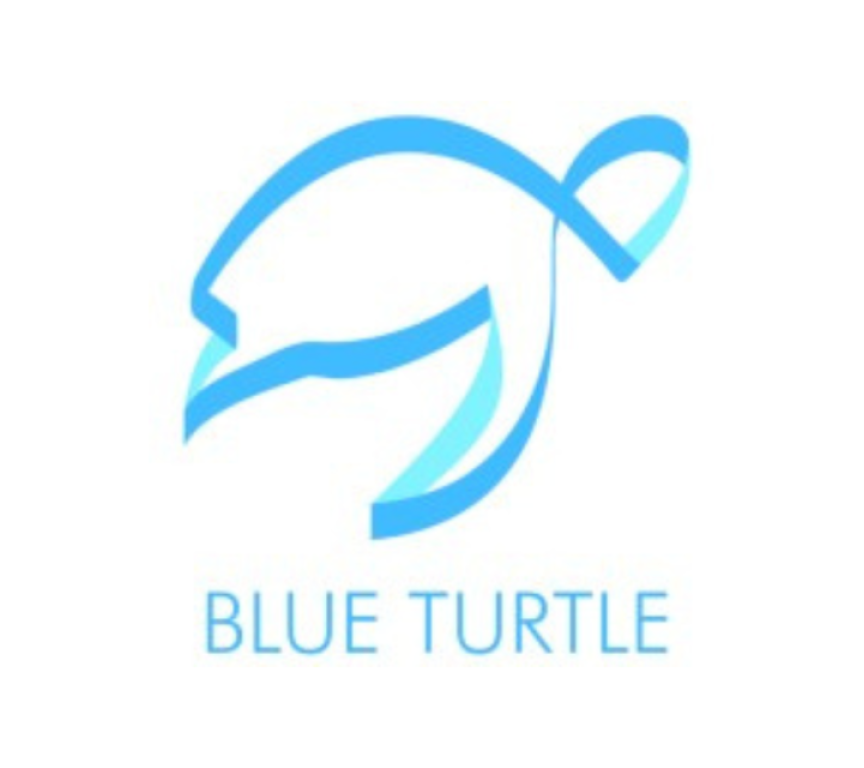 Blue Turtle Tax logo
