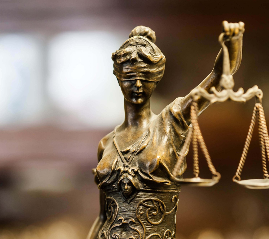 rule of law image