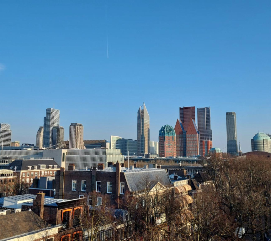 Modern skyline of The Hague with buildings and trees.