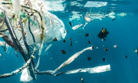 Environmental Peacebuilding
