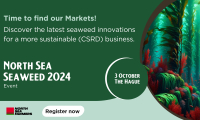 North Sea Seaweed