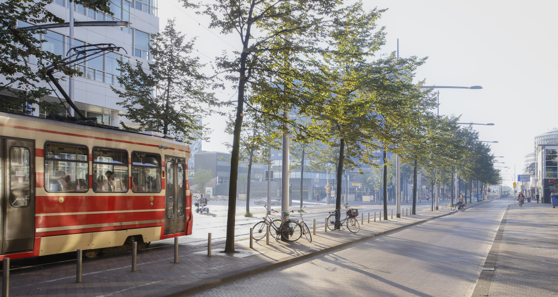 The Hague transportation