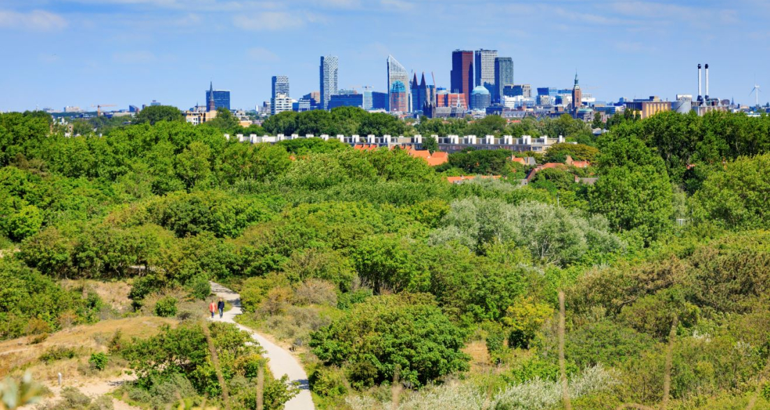 Skyline The Hague view from the dunes Low res