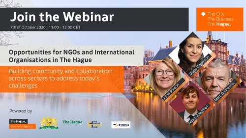 NGO webinar