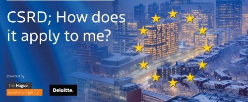 CSRD webinar