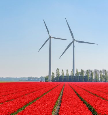Renewable Energy