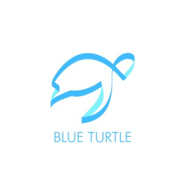 Blue Turtle Tax