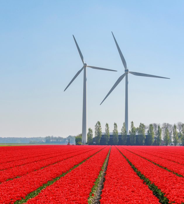Renewable Energy