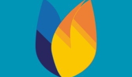 bondi logo