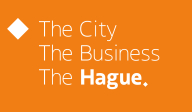 the city the business the hague