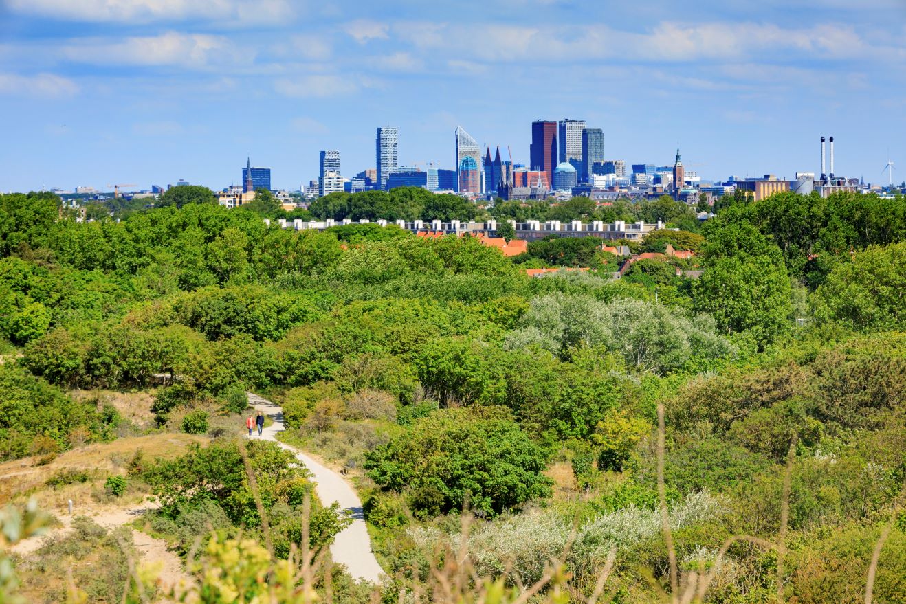 Skyline The Hague view from the dunes Low res