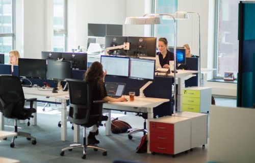 Attached Language Intelligence