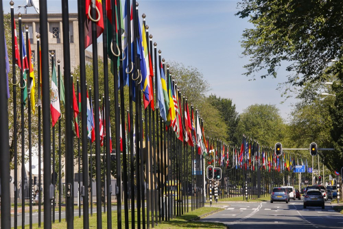 Image of international zone the hague