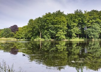 Haagse Bos Haagse Bos