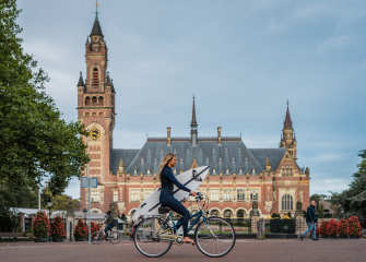 Surfer with Peace Palace in The Hague Surfer with Peace Palace in The Hague