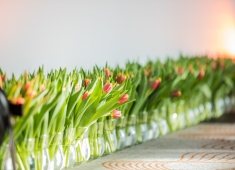 Corporate Events The Hague