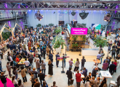 Impactfest The Hague