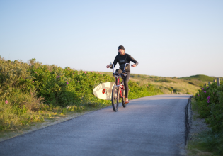 cycling in The Hague