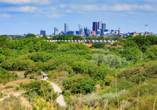 Skyline The Hague view from the dunes Low res