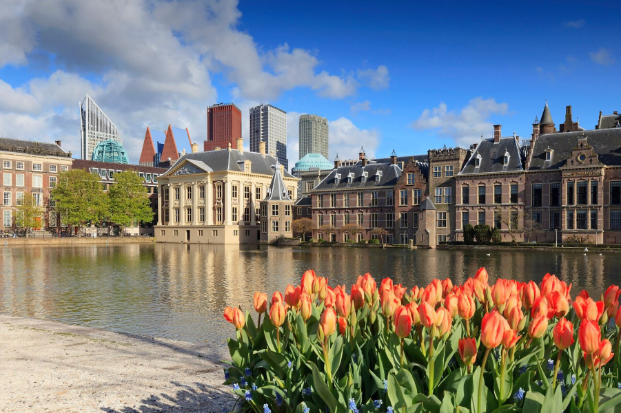 hofvijver The Hague