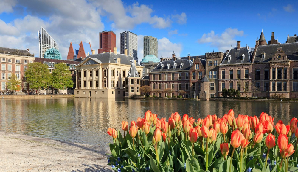 hofvijver The Hague