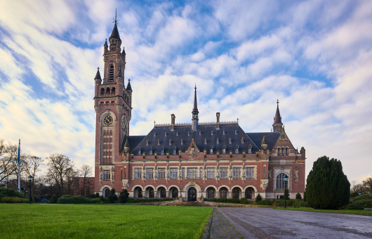 Image of The Peace Palace The Hague