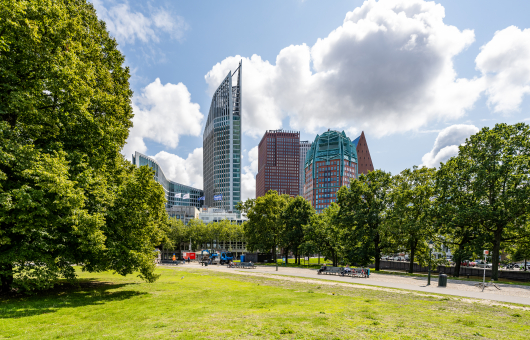 Image of the skyline of The Hague with a green park