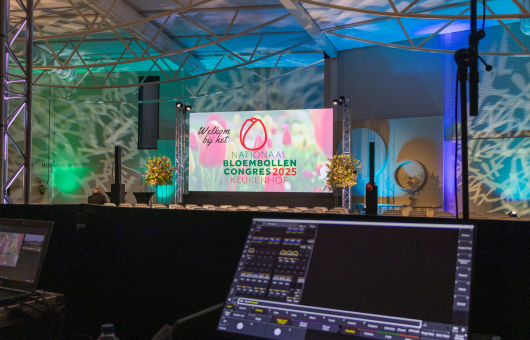 Image of conference plenary room with screen.