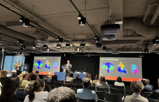 A man is giving a presentation on art and radiology to an audience.