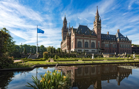 Peace Palace, United Nations 75 years Human Rights