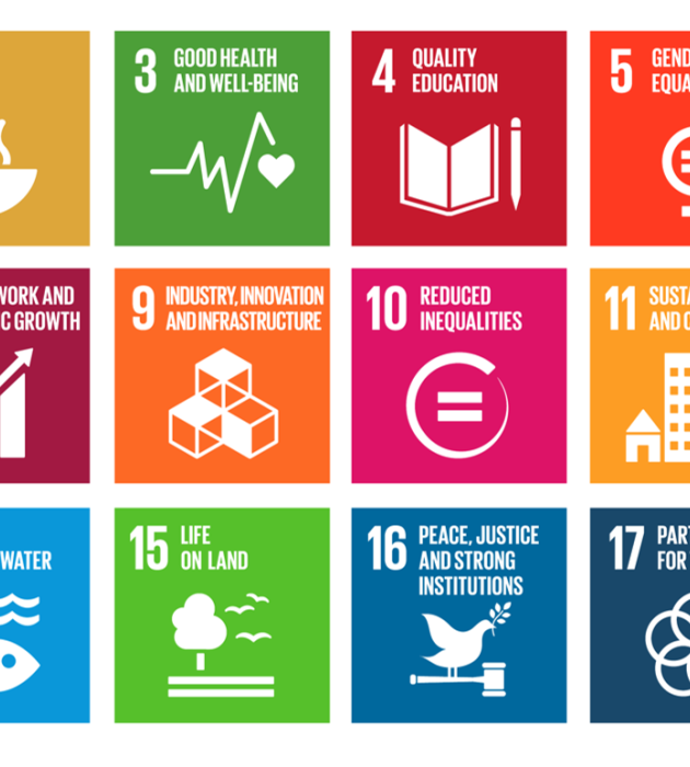 United Nations SDGs The Hague