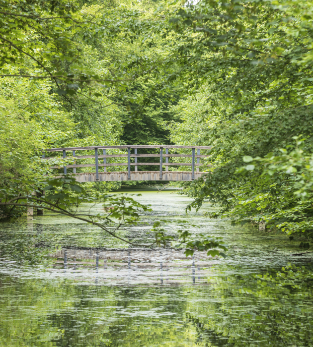 Haagse Bos Haagse Bos