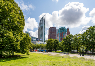 Image of the skyline of The Hague with a green park