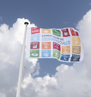 sdg vlag