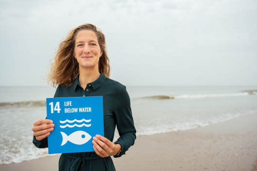 surfer on the beach with SDG card