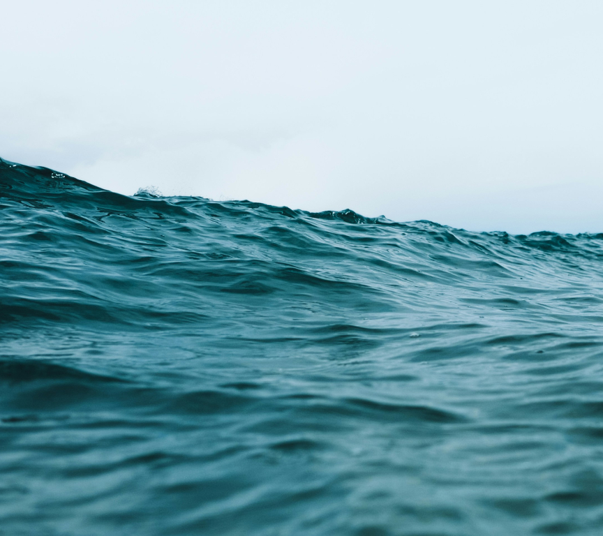 The ocean