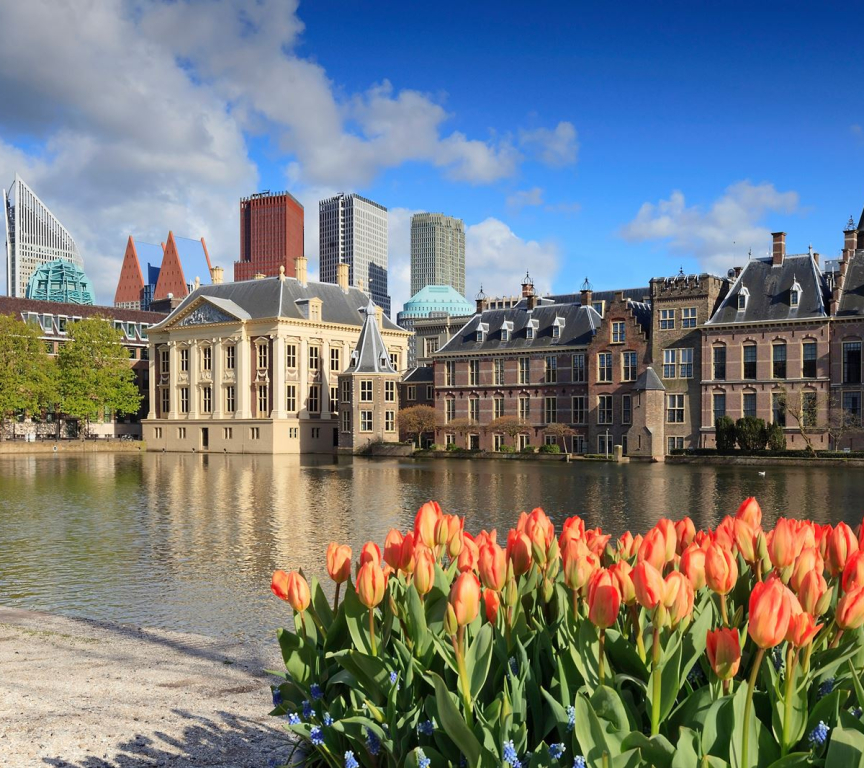 hofvijver The Hague