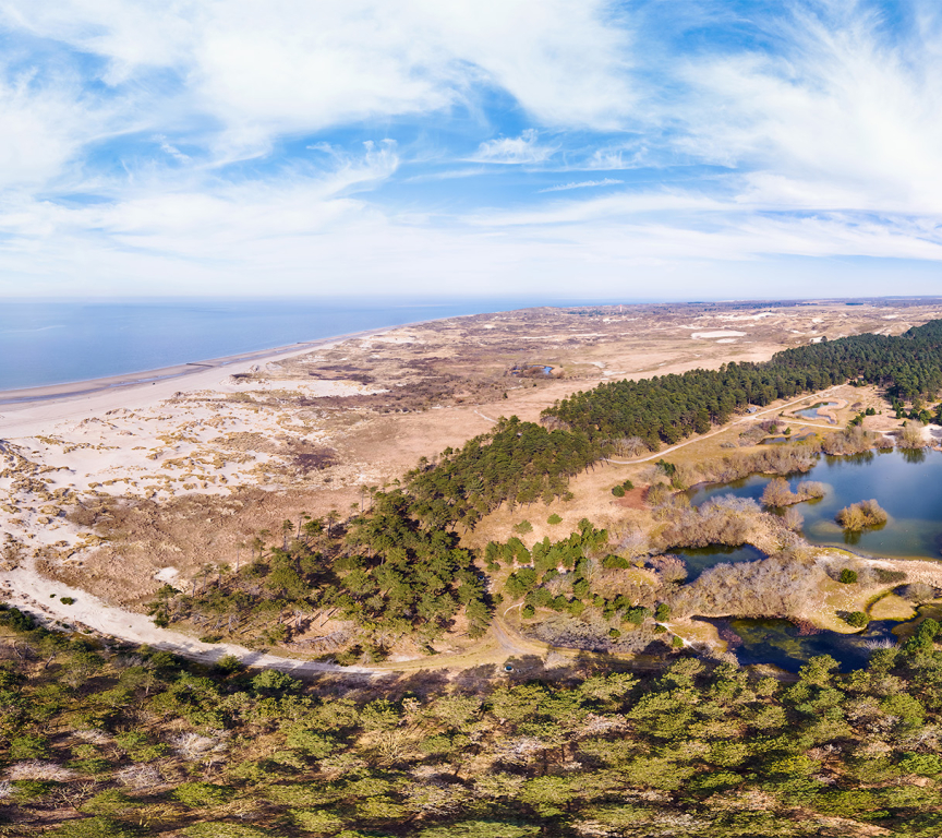 Panorama van duinen, zee en bossen bij de kust