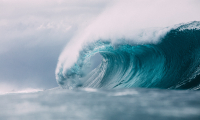 DMEC wave