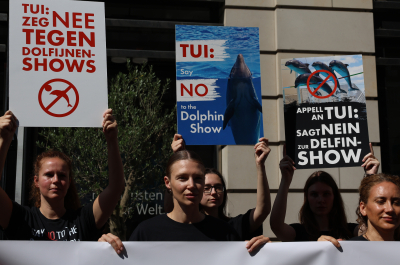 Activists hold signs protesting against dolphin shows.