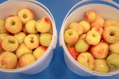 00% zero waste factory and total value Yespers apples underway to breakfast product