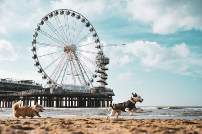 De Pier Scheveningen