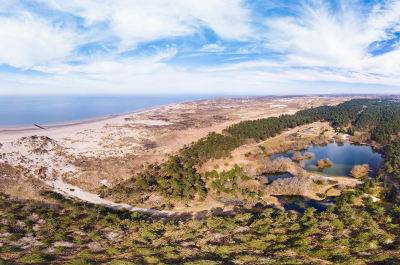 Panorama van duinen, zee en bossen bij de kust